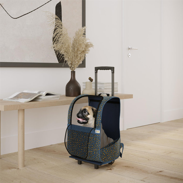 DHP Kaya Pet Carrier Wayfair